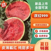 精品实力吉林庆红999西瓜产区物美价廉包熟包甜欢迎采购