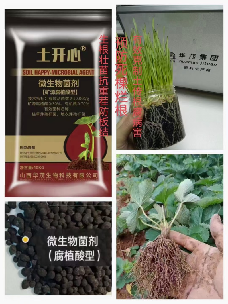 10亿微生物菌剂-矿源腐植酸型