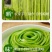 云南精品贡菜贡菜干，产地直销，货源充足规格齐全