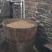 山茶油大量供应野生山茶油品质保证价格优惠