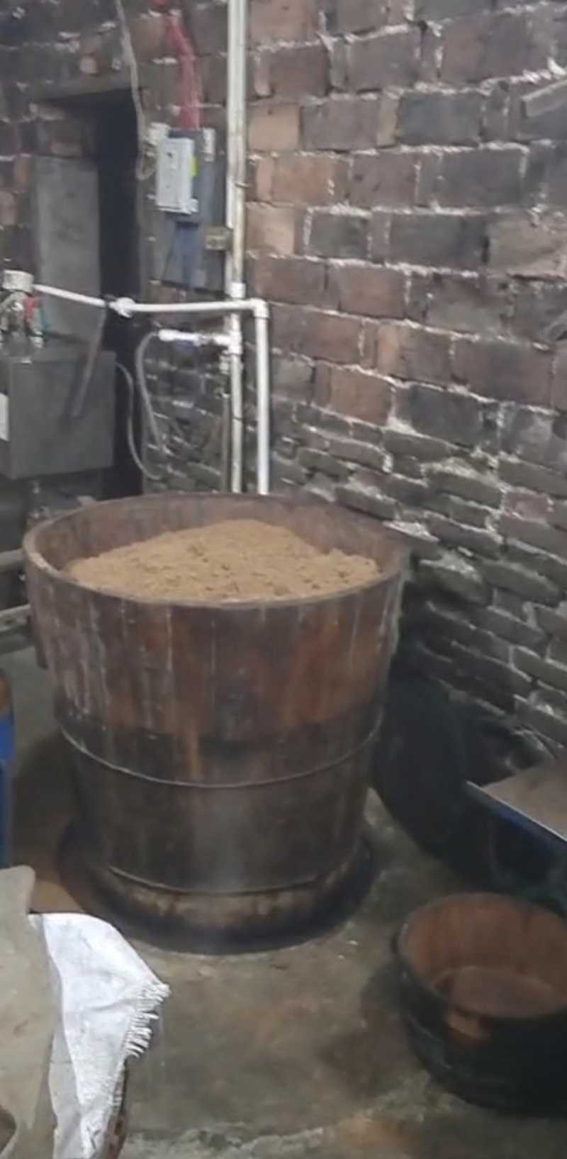 山茶油大量供应野生山茶油品质保证价格优惠