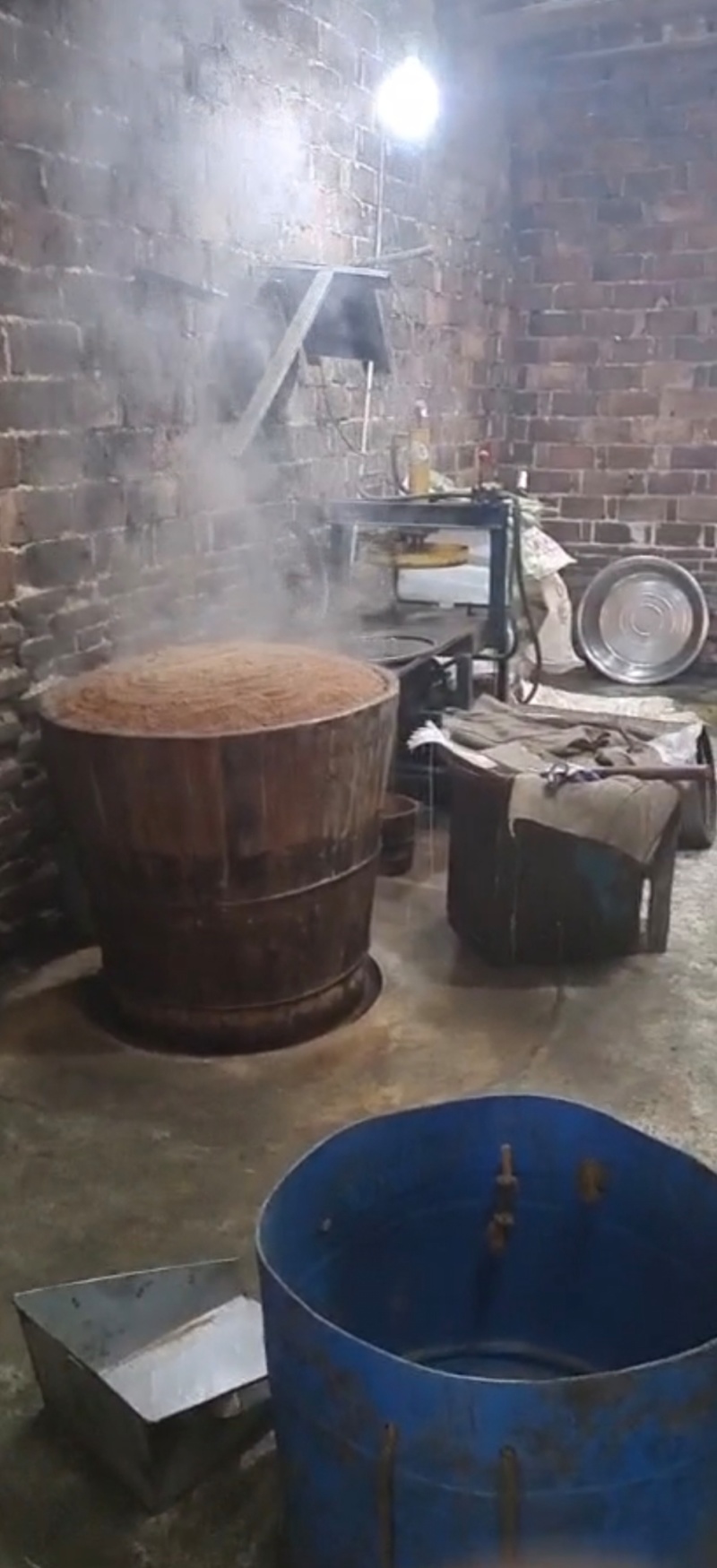 山茶油大量供应野生山茶油品质保证价格优惠