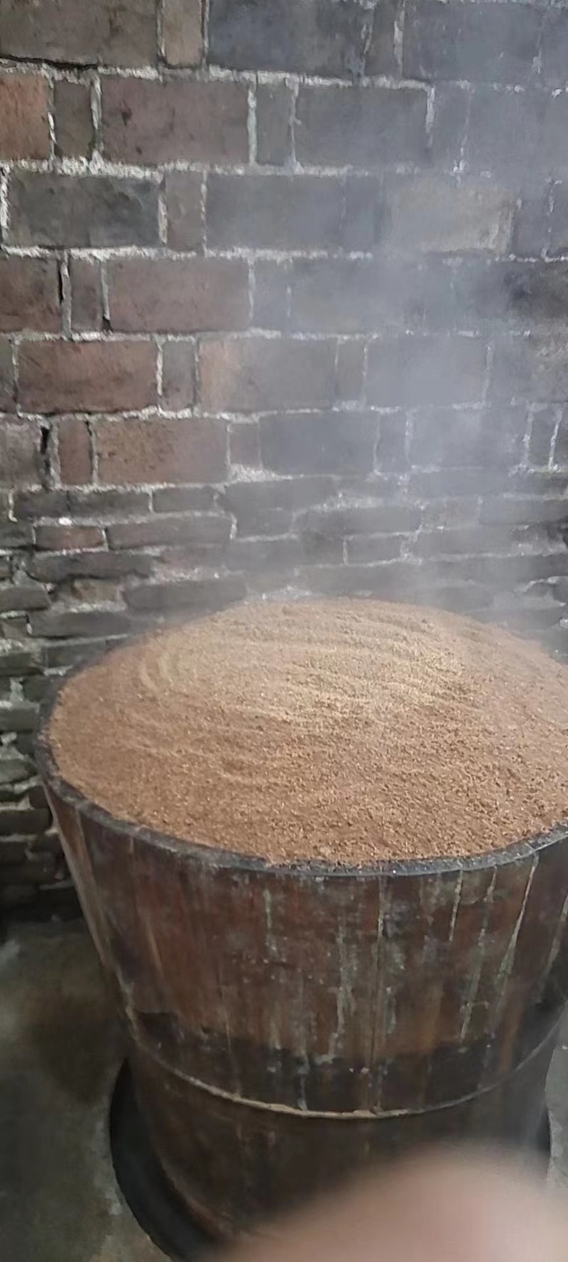 山茶油大量供应野生山茶油品质保证价格优惠
