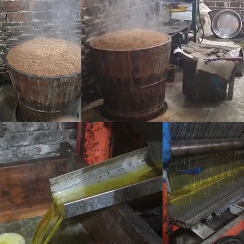 山茶油大量供应野生山茶油品质保证价格优惠