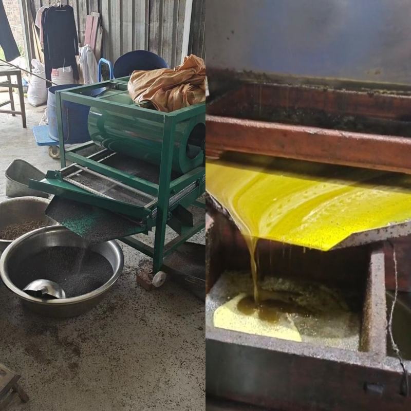 菜籽油一件也是批发价大量供应菜籽油品质保证价格优