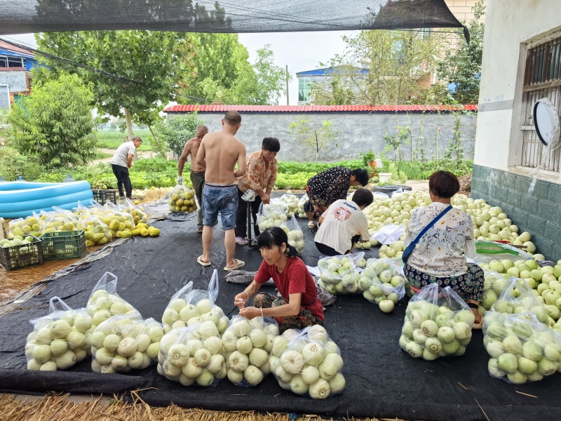 甜宝，美浓大量代购