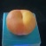 河北饶阳精品桃子大量上市，皮毛漂亮，口感嘎嘎甜