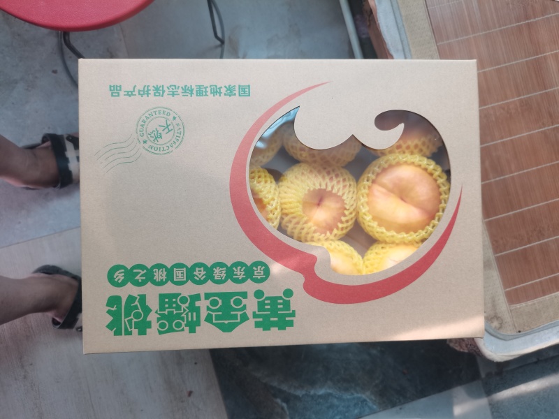 河北饶阳精品桃子大量上市，皮毛漂亮，口感嘎嘎甜