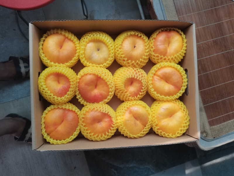 河北饶阳精品桃子大量上市，皮毛漂亮，口感嘎嘎甜