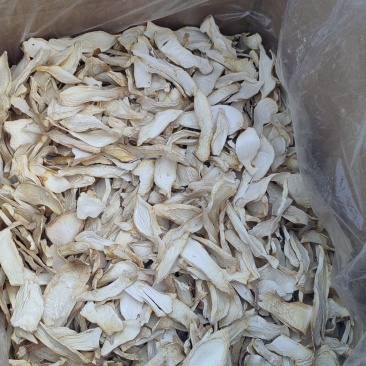杏鲍菇中B干杏鲍菇质量上乘营养丰富欢迎联系