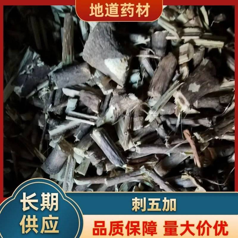 【推荐】刺五加根，五加根片，五加茎段，五加茎片。