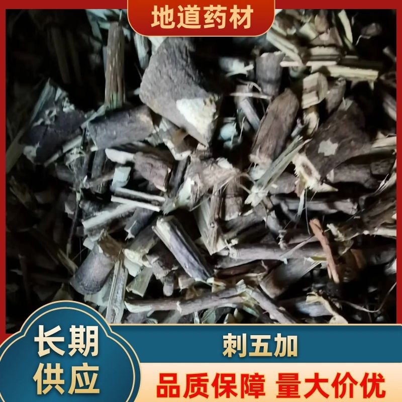 【推荐】刺五加根，五加根片，五加茎段，五加茎片。
