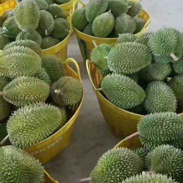榴莲，