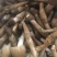 江苏南京卖野生鸡枞菌