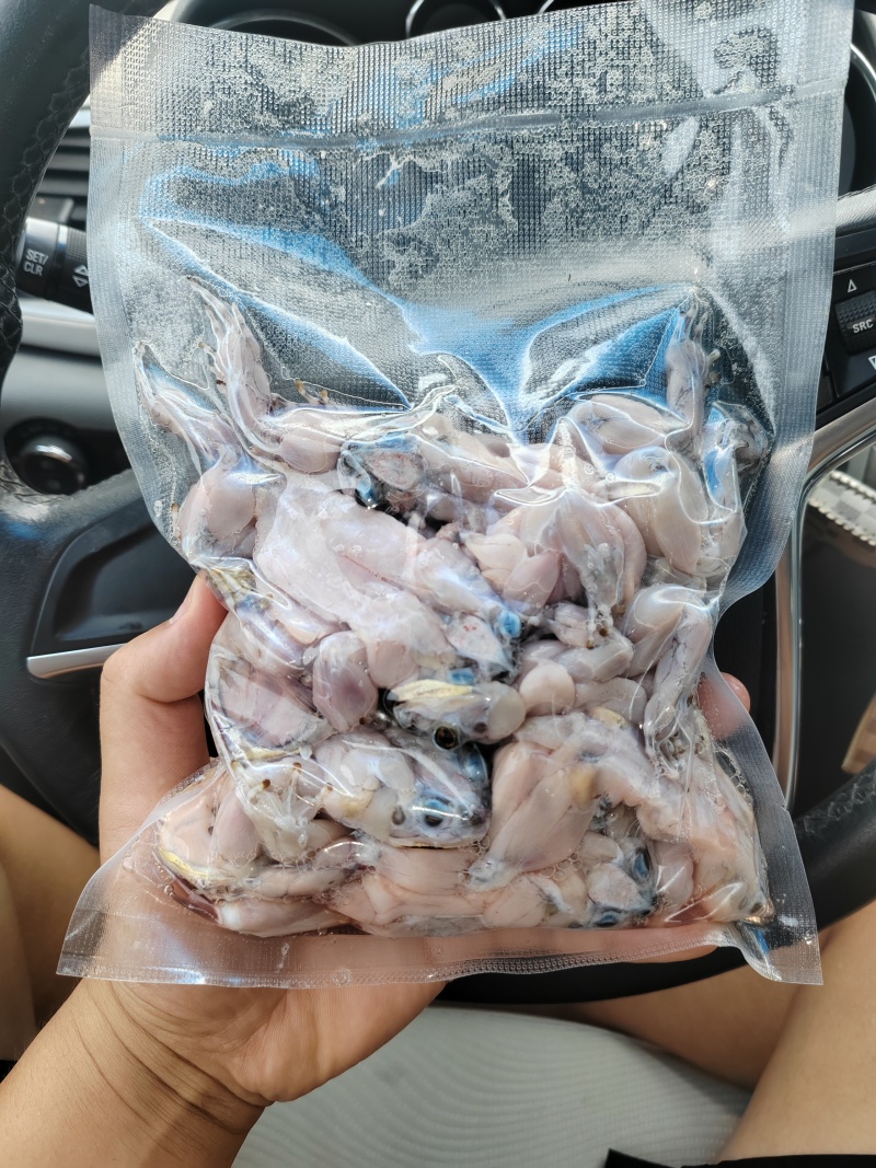 真空包装蟾蜍肉，保证新鲜度，冷链运输