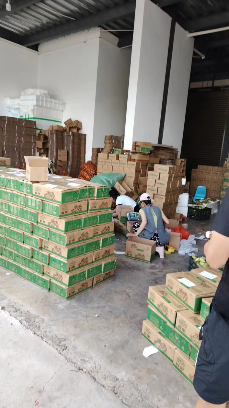 云南大青芒产地一手货源供应市场供应电商一件代发