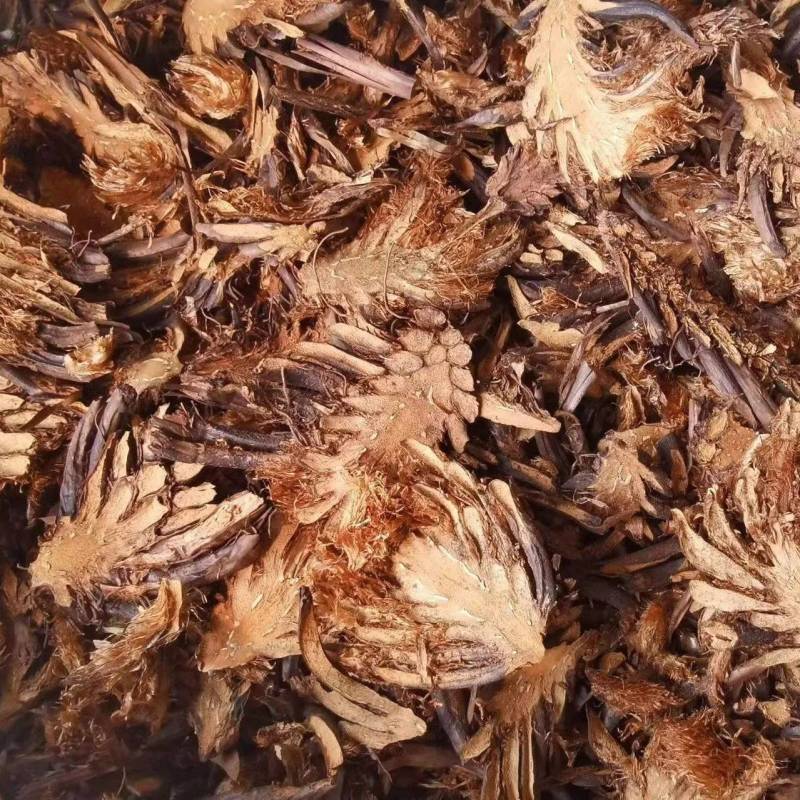 【推荐】灌仲片大量有货货源稳定欢迎老板前来合作