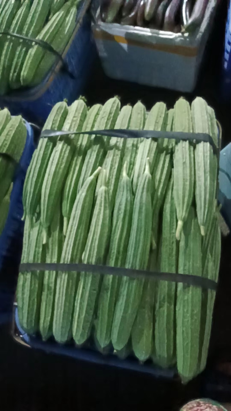 广东韶关精品八角肉丝瓜，棱角丝瓜产地直发，按需提供各类服