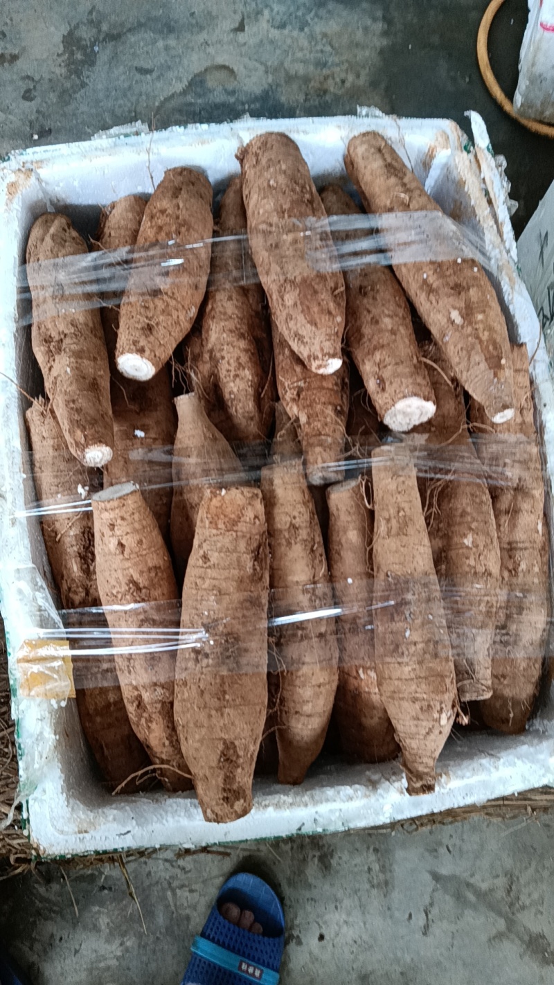 广东韶关精品火山街R无渣粉葛产地直发，按需提供各类服务