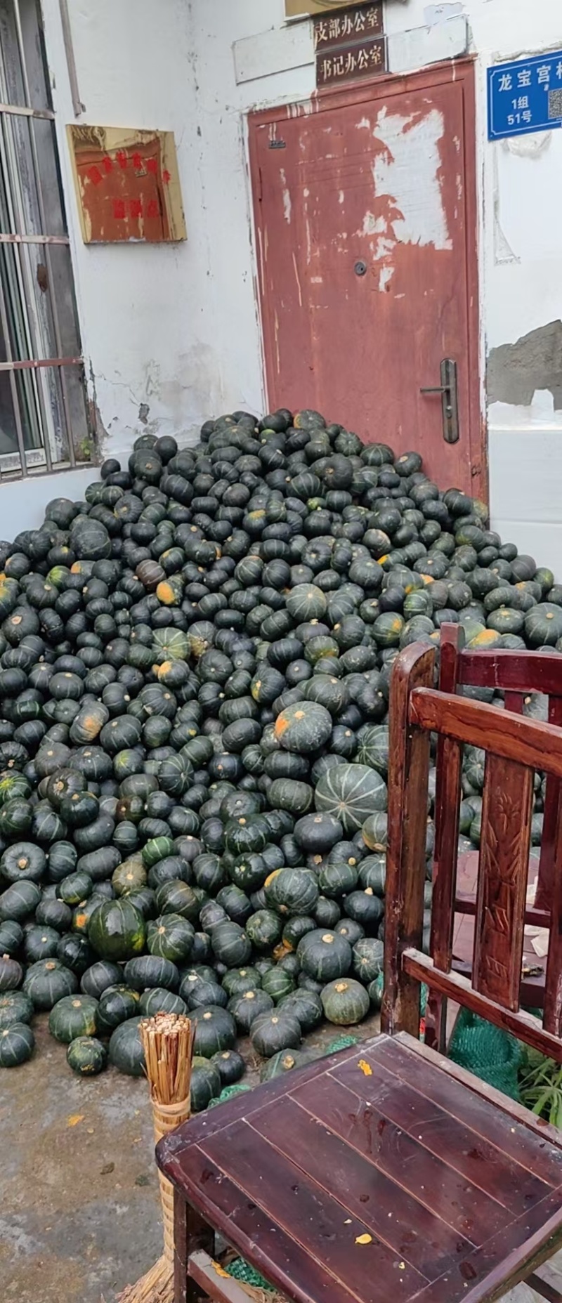 精品贝贝南瓜，颜色好口感好个头均匀