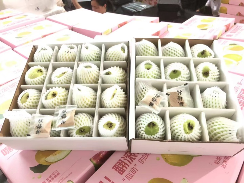 精品中的精品，礼盒树上熟奶油芭乐，可香可软糯
