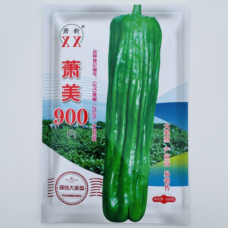萧美900辣椒种子长灯笼型大果泡椒种子果色亮绿薄皮椒种子