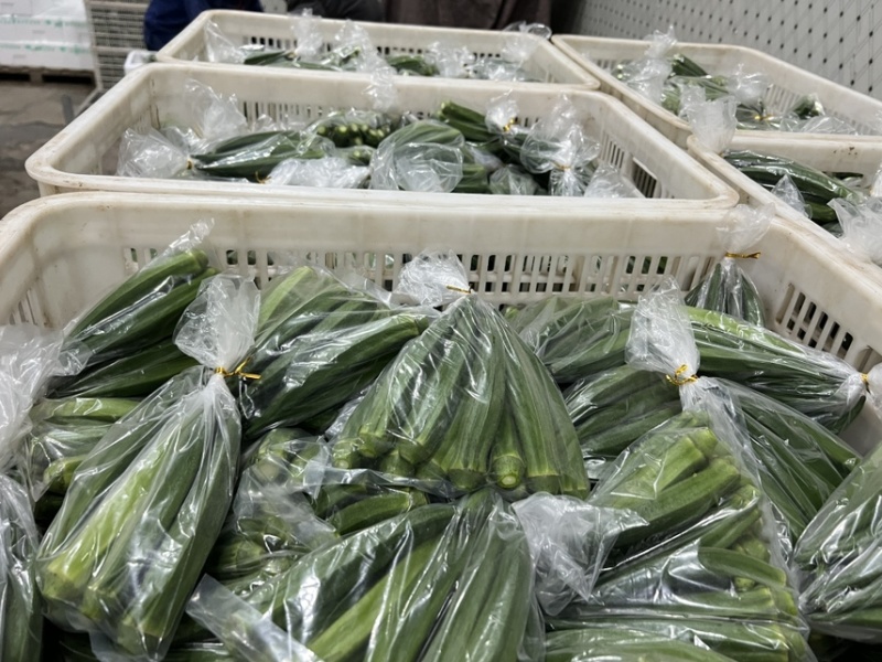 秋葵