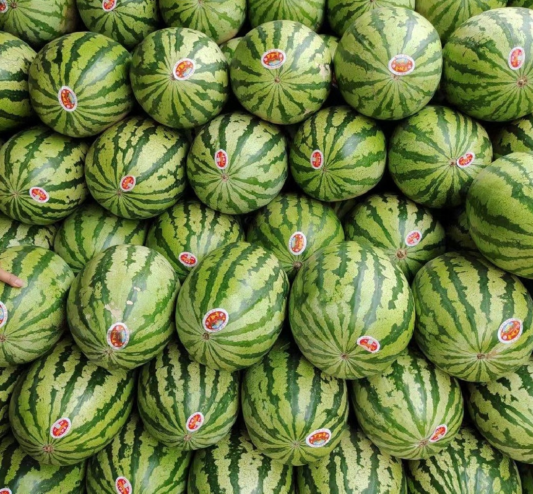 西瓜沙拉成品图