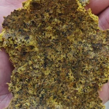 厂家直接发货棉籽饼，棉籽饼纯绿色有机肥料，和养殖饲料