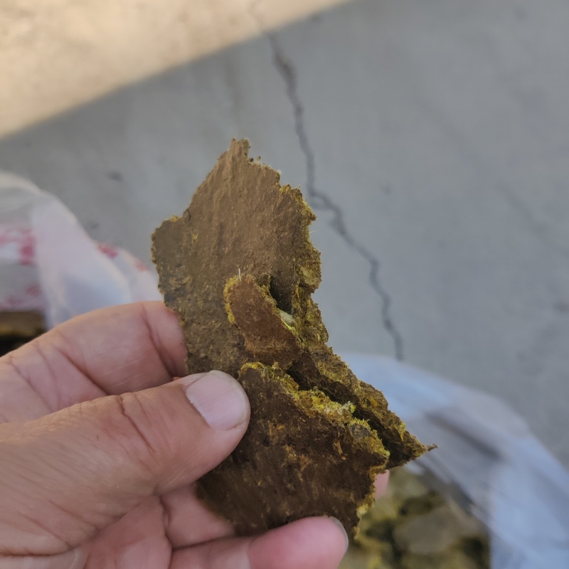 厂家直接发货棉籽饼，棉籽饼纯绿色有机肥料，和养殖饲料