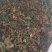 薄荷咀子，薄荷饮片，1公分切段，需要来电