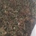 薄荷咀子，薄荷饮片，1公分切段，需要来电
