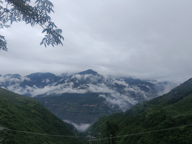 青花椒，产地直发