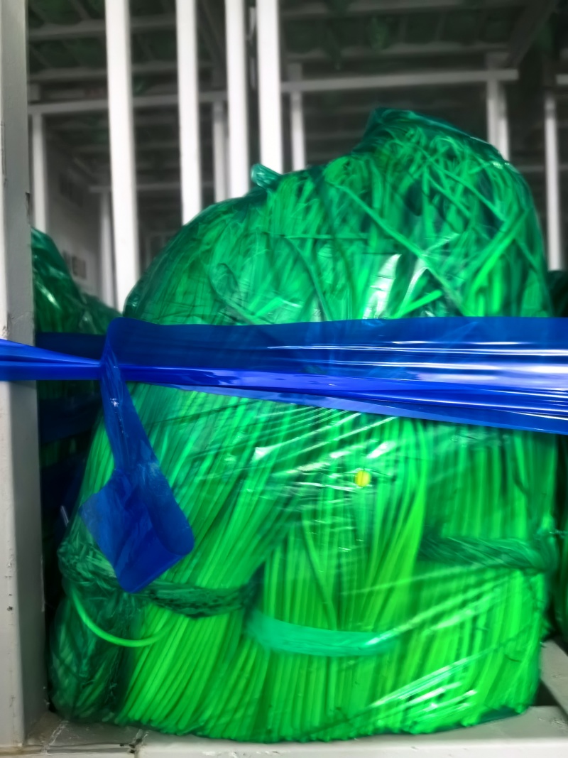 邳州红帽蒜苔货源充足产地直发质量有保证欢迎来采购