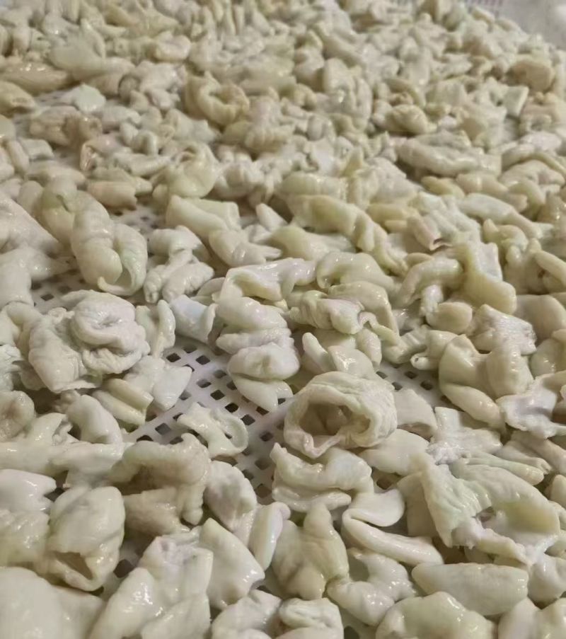 白水肥肠段