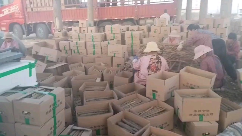 小白嘴山药，土货包装电商团购平台批发市场，量大从优