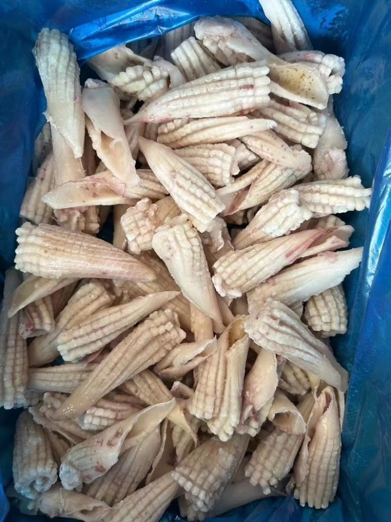 全系列