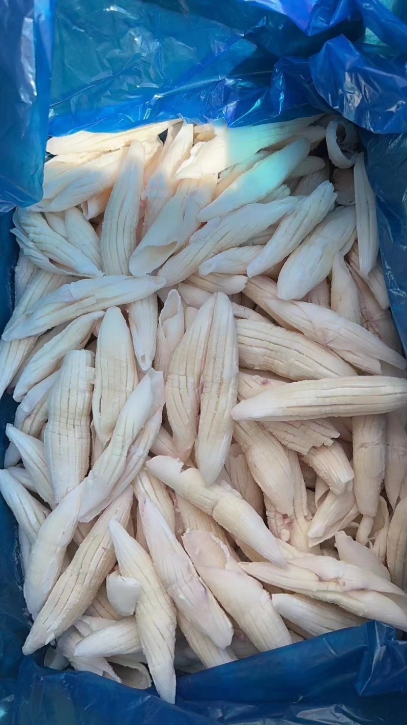 全系列
