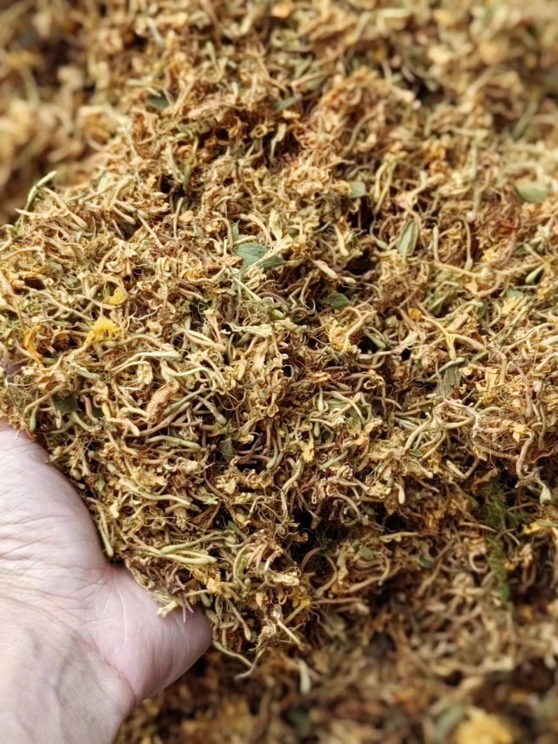 精品金银花产地直发品质保证量大从优一手货源欢迎联系