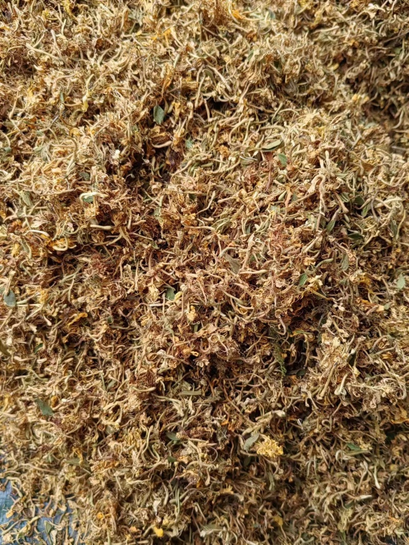 精品金银花产地直发品质保证量大从优一手货源欢迎联系
