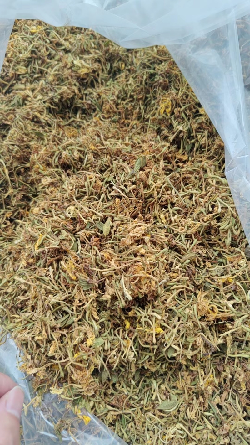 精品金银花产地直发品质保证量大从优一手货源欢迎联系