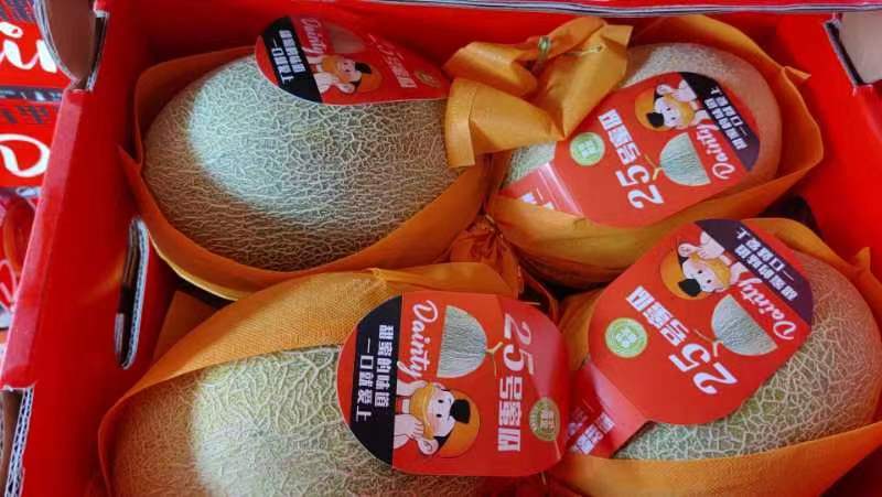 【实力海南晓密品质保证，产地直发，价优欢迎