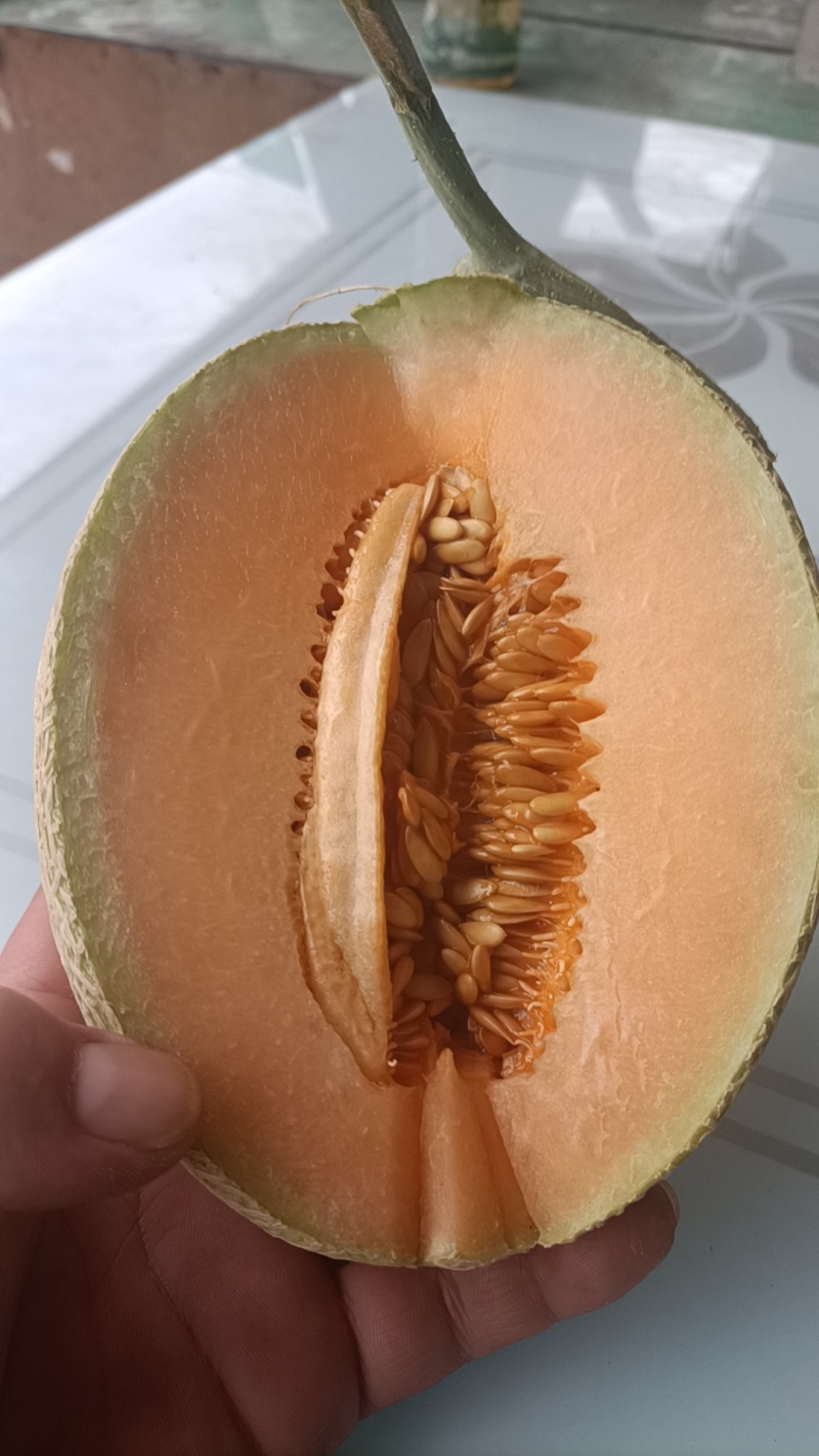 【实力海南晓密品质保证，产地直发，价优欢迎