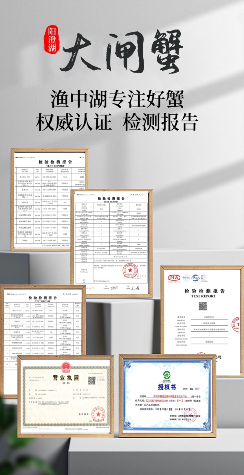 中秋福利阳澄湖大闸蟹招合作商企业采购，批发，代发一手货源