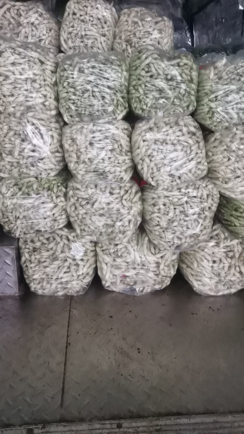 豆角大量上市中