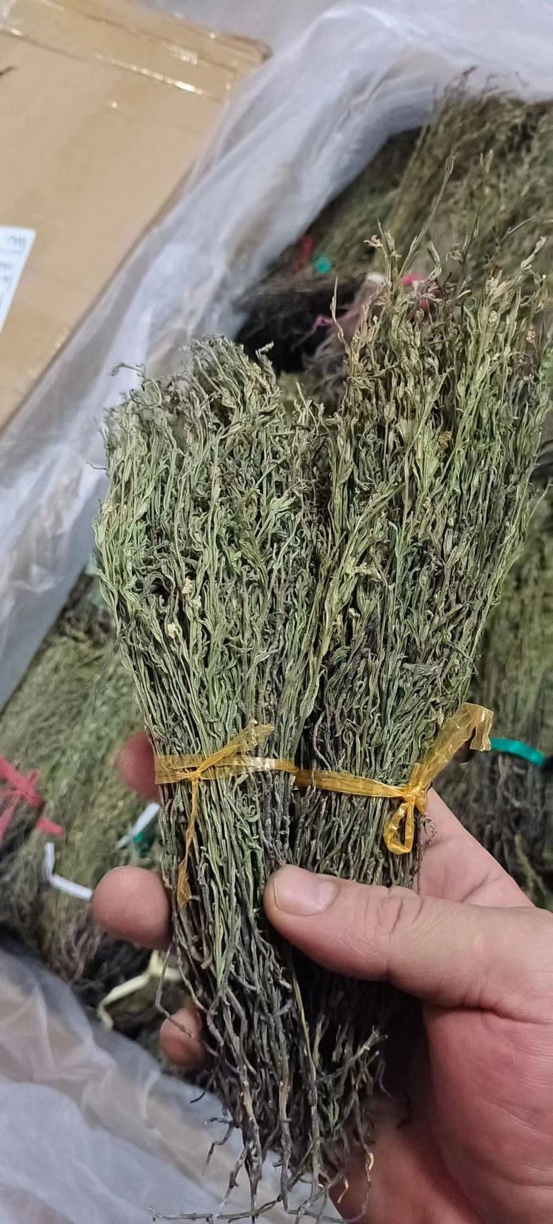 独脚金好货新货，颜色绿，品质好，规格齐全，一手货源