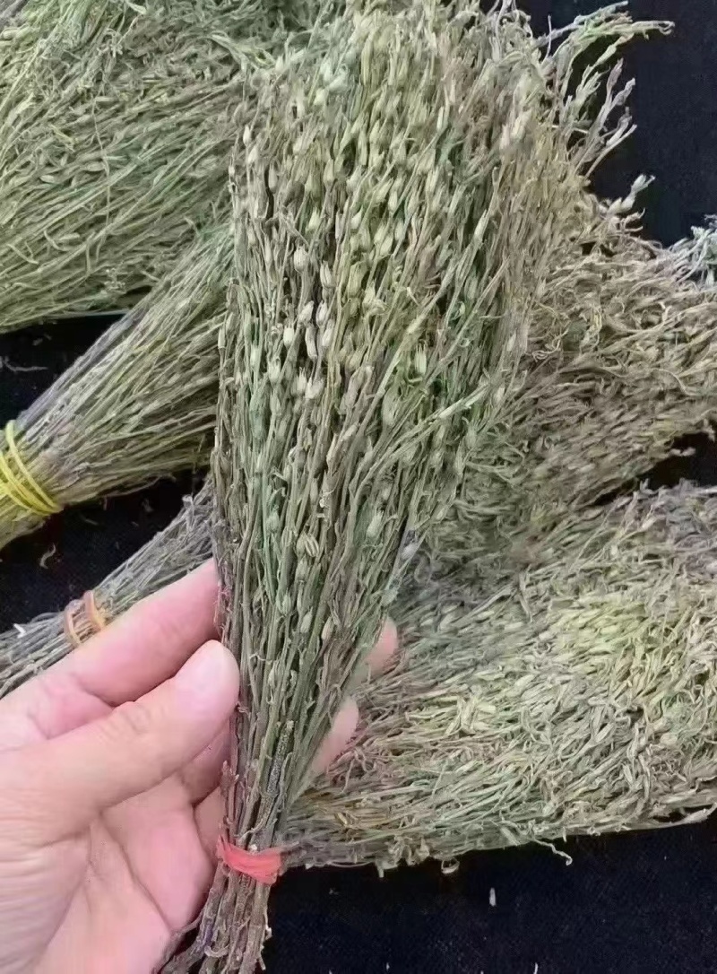 独脚金好货新货，颜色绿，品质好，规格齐全，一手货源