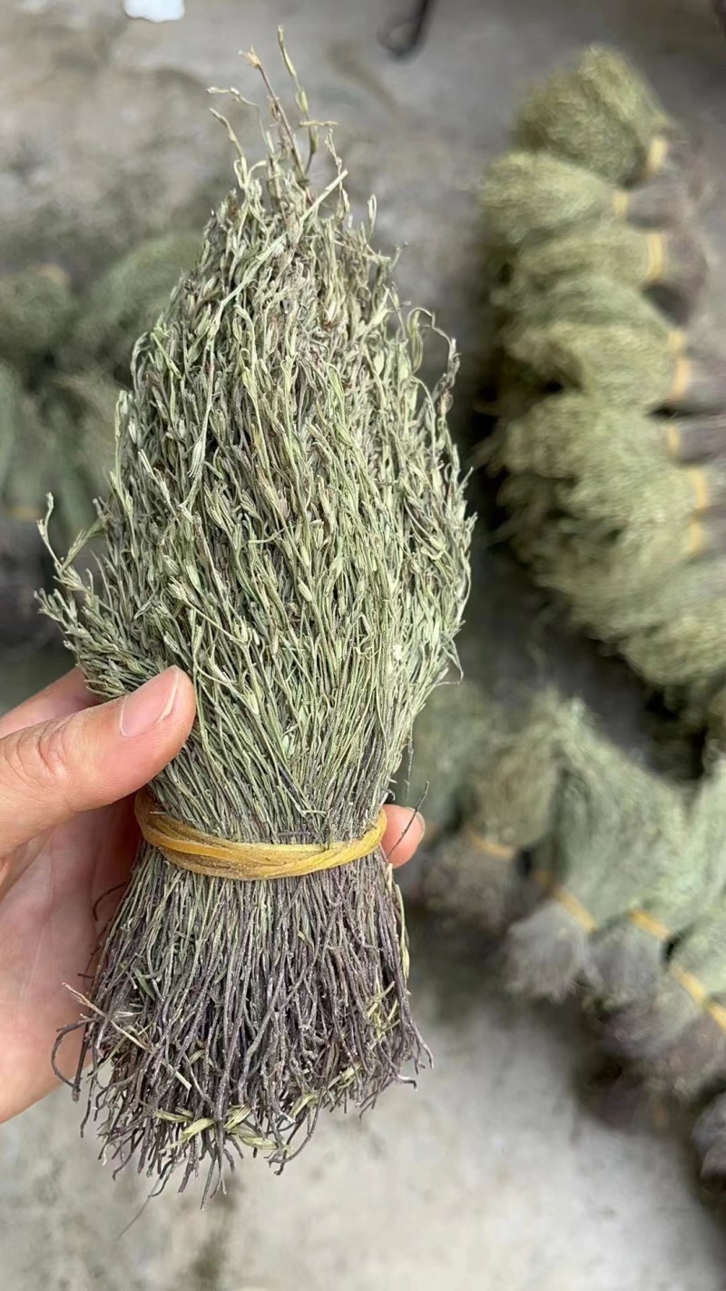 独脚金好货新货，颜色绿，品质好，规格齐全，一手货源