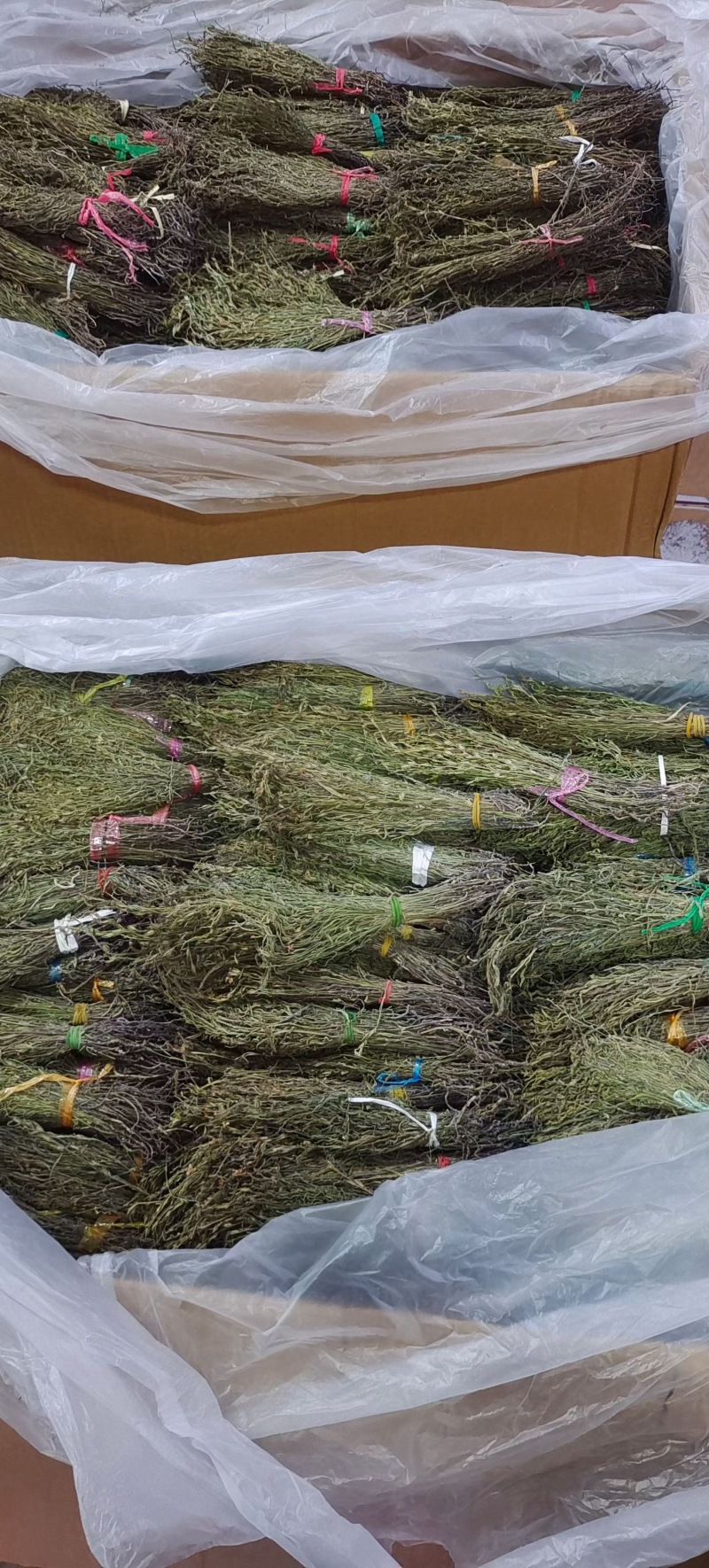 独脚金好货新货，颜色绿，品质好，规格齐全，一手货源