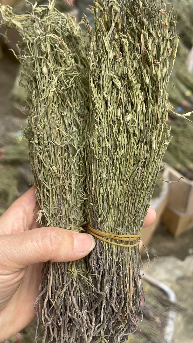 独脚金好货新货，颜色绿，品质好，规格齐全，一手货源
